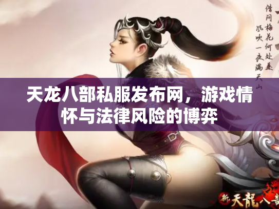 天龙八部私服发布网，游戏情怀与法律风险的博弈