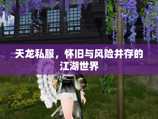 天龙私服，怀旧与风险并存的江湖世界