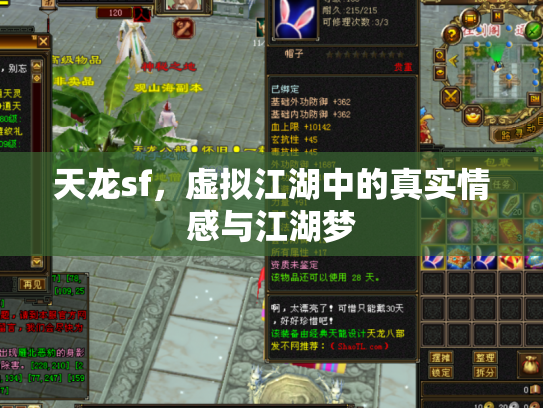 天龙sf，虚拟江湖中的真实情感与江湖梦