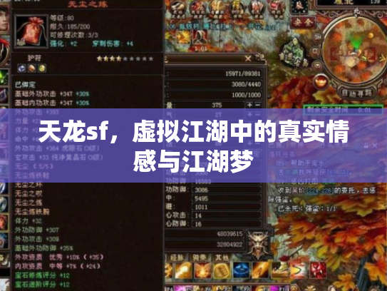 天龙sf，虚拟江湖中的真实情感与江湖梦