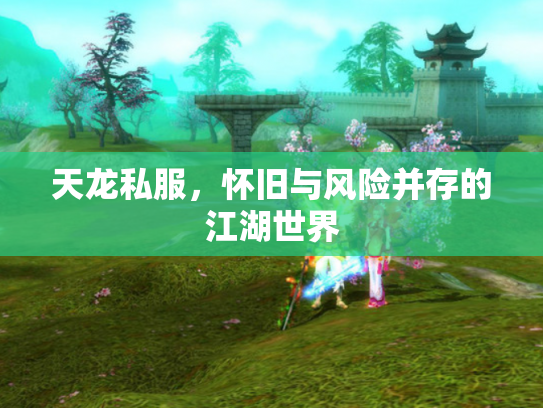 天龙私服，怀旧与风险并存的江湖世界
