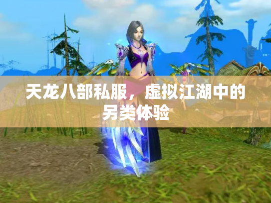 天龙八部私服，虚拟江湖中的另类体验