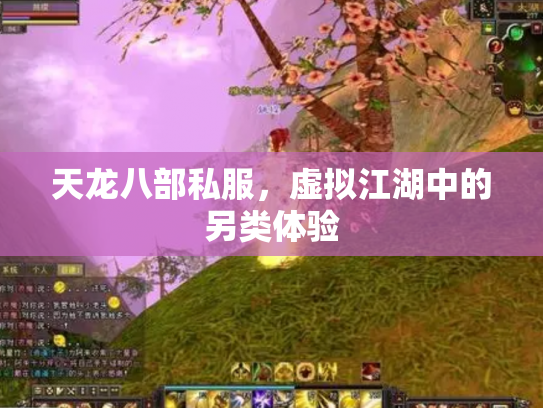 天龙八部私服，虚拟江湖中的另类体验