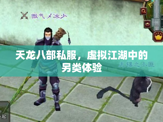 天龙八部私服，虚拟江湖中的另类体验