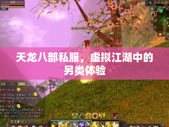 天龙八部私服，虚拟江湖中的另类体验