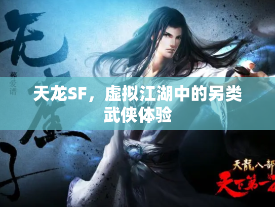 天龙SF，虚拟江湖中的另类武侠体验