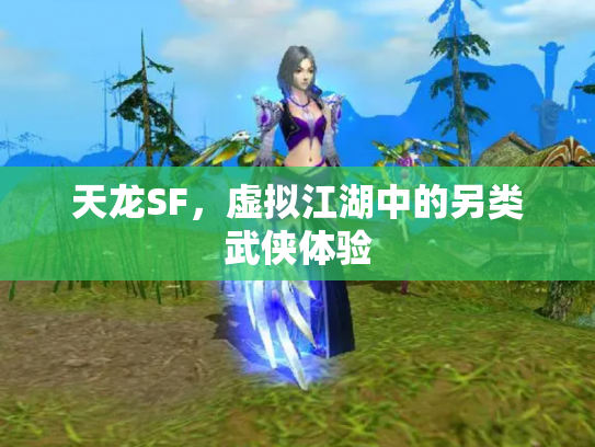 天龙SF，虚拟江湖中的另类武侠体验