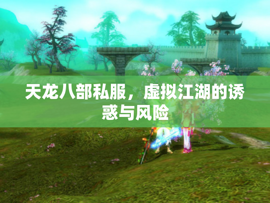 天龙八部私服，虚拟江湖的诱惑与风险
