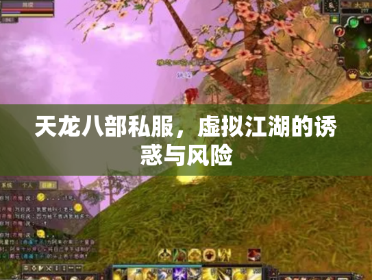 天龙八部私服，虚拟江湖的诱惑与风险