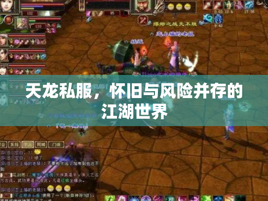 天龙私服，怀旧与风险并存的江湖世界