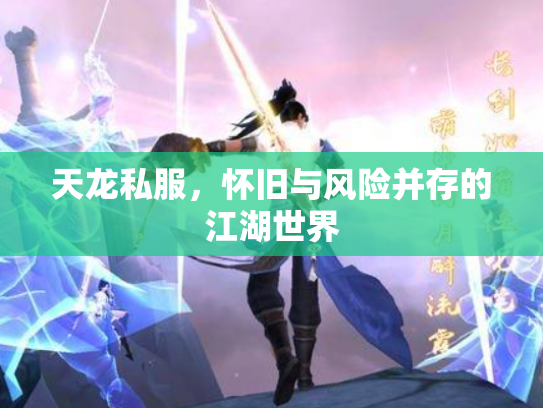 天龙私服，怀旧与风险并存的江湖世界