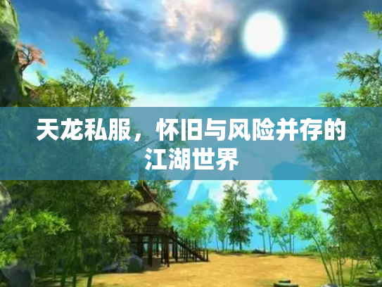 天龙私服，怀旧与风险并存的江湖世界