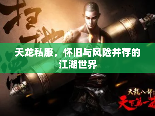 天龙私服，怀旧与风险并存的江湖世界