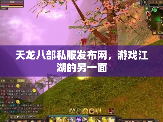 天龙八部私服发布网，游戏江湖的另一面