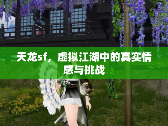 天龙sf，虚拟江湖中的真实情感与挑战