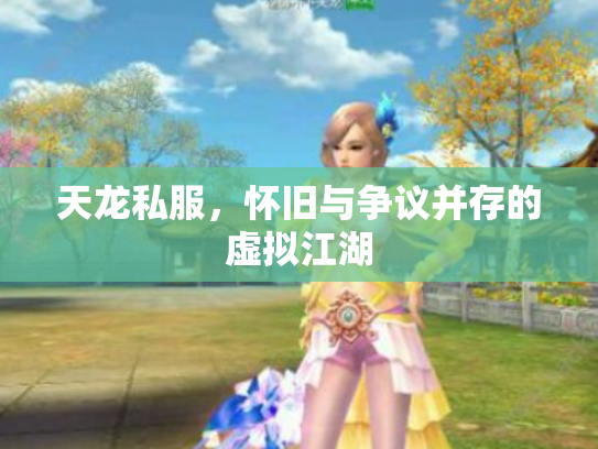 天龙私服，怀旧与争议并存的虚拟江湖