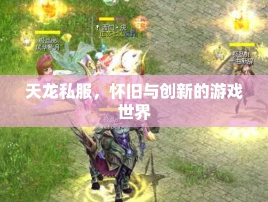 天龙私服，怀旧与创新的游戏世界