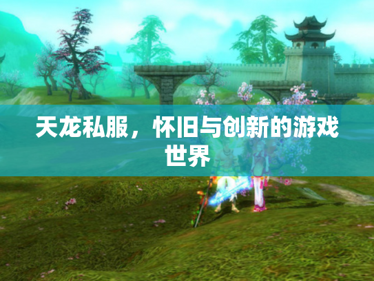 天龙私服，怀旧与创新的游戏世界