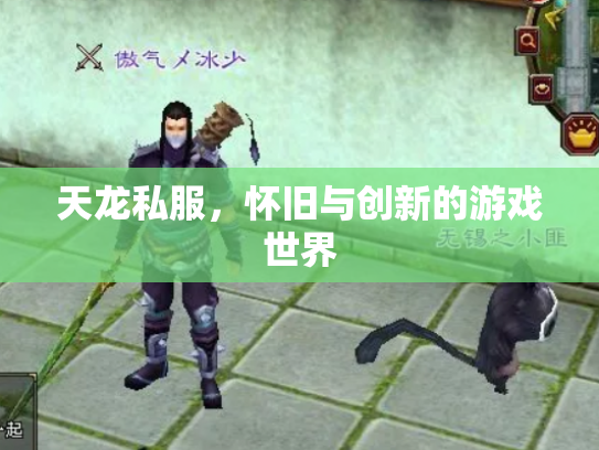 天龙私服，怀旧与创新的游戏世界