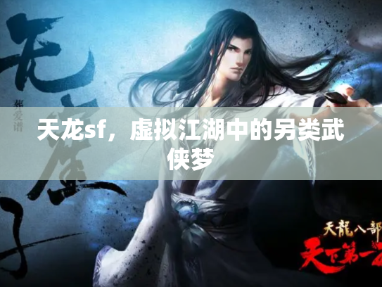 天龙sf，虚拟江湖中的另类武侠梦