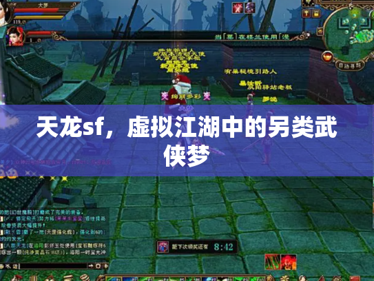 天龙sf，虚拟江湖中的另类武侠梦