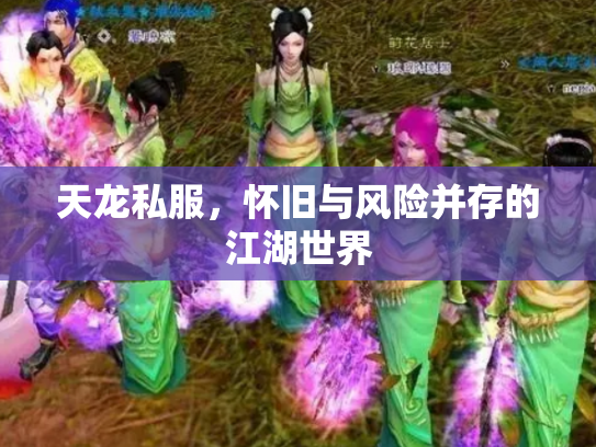 天龙私服，怀旧与风险并存的江湖世界