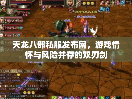 天龙八部私服发布网，游戏情怀与风险并存的双刃剑