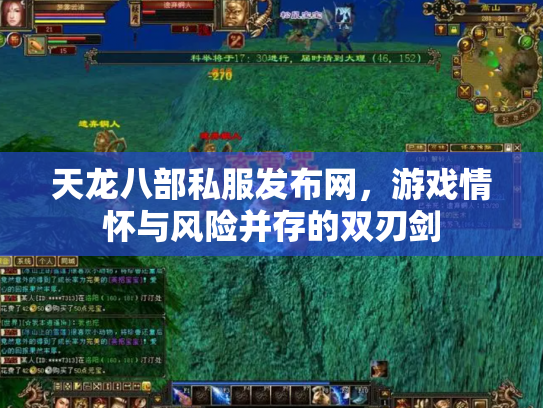 天龙八部私服发布网，游戏情怀与风险并存的双刃剑