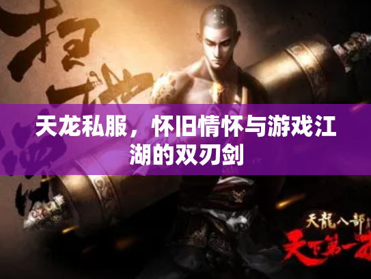 天龙私服，怀旧情怀与游戏江湖的双刃剑