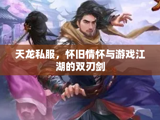 天龙私服，怀旧情怀与游戏江湖的双刃剑