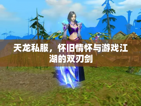 天龙私服，怀旧情怀与游戏江湖的双刃剑