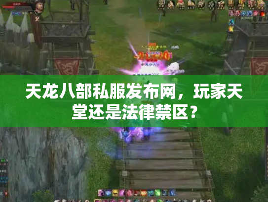 天龙八部私服发布网，玩家天堂还是法律禁区？