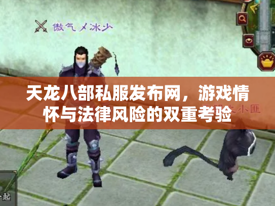 天龙八部私服发布网，游戏情怀与法律风险的双重考验