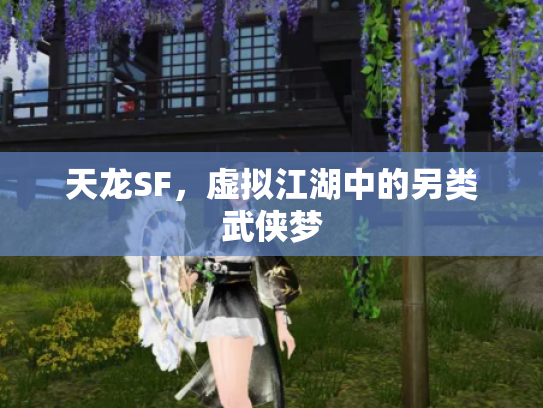 天龙SF，虚拟江湖中的另类武侠梦
