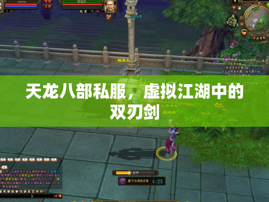 天龙八部私服，虚拟江湖中的双刃剑