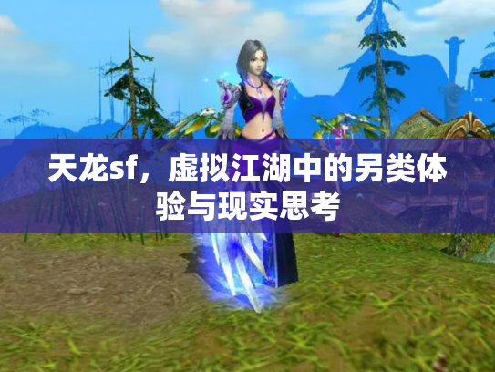天龙sf，虚拟江湖中的另类体验与现实思考
