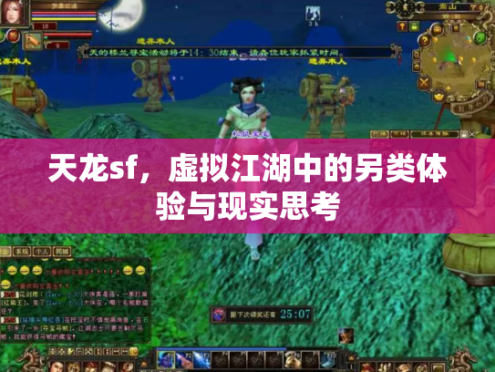 天龙sf，虚拟江湖中的另类体验与现实思考