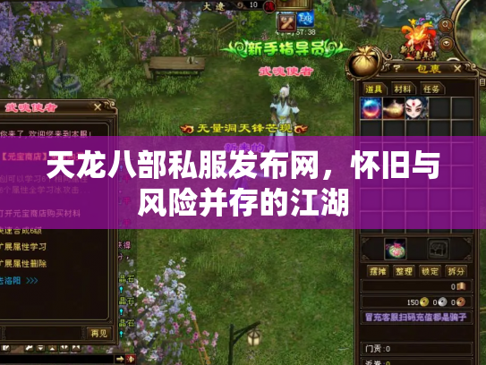 天龙八部私服发布网，怀旧与风险并存的江湖
