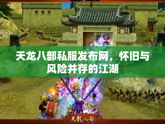 天龙八部私服发布网，怀旧与风险并存的江湖