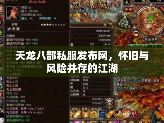天龙八部私服发布网，怀旧与风险并存的江湖