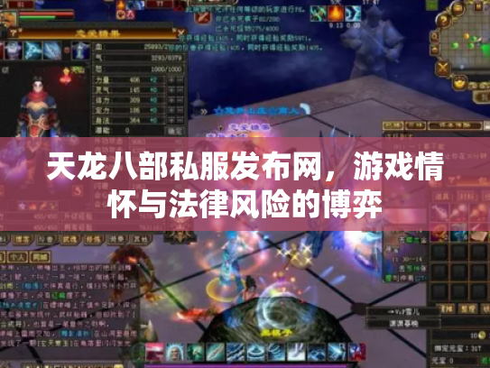天龙八部私服发布网，游戏情怀与法律风险的博弈
