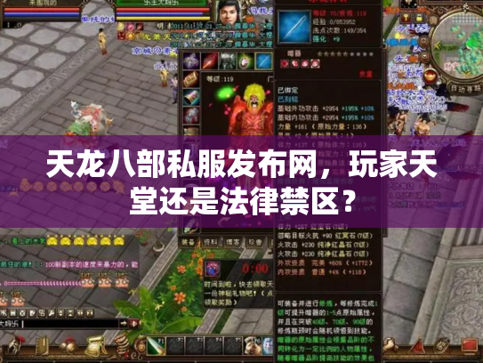 天龙八部私服发布网，玩家天堂还是法律禁区？