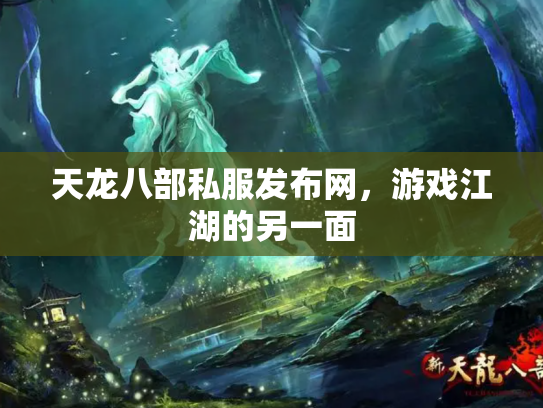 天龙八部私服发布网，游戏江湖的另一面