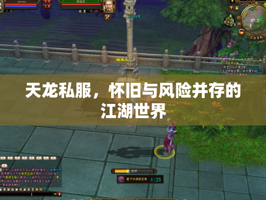 天龙私服，怀旧与风险并存的江湖世界