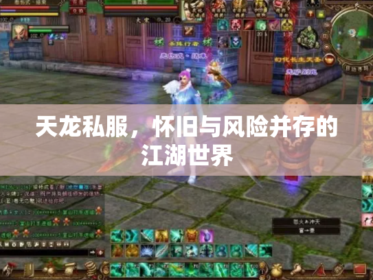 天龙私服，怀旧与风险并存的江湖世界