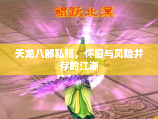 天龙八部私服，怀旧与风险并存的江湖