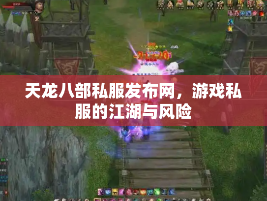 天龙八部私服发布网，游戏私服的江湖与风险