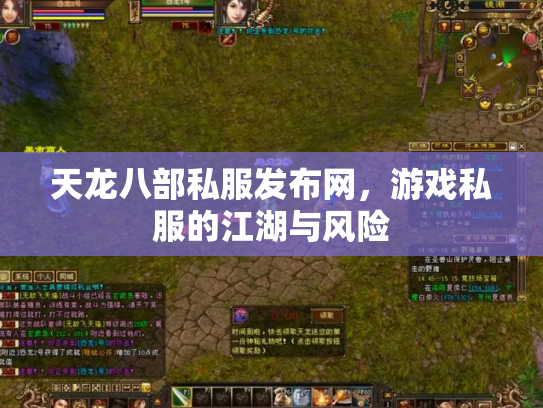 天龙八部私服发布网，游戏私服的江湖与风险