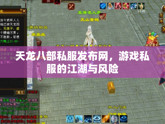 天龙八部私服发布网，游戏私服的江湖与风险