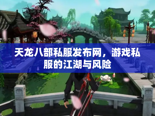 天龙八部私服发布网，游戏私服的江湖与风险
